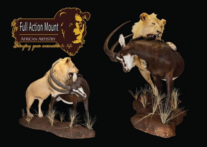 0004 - Action mount